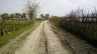 Переулки села Заречное.
